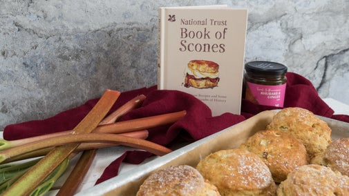 A tray of baked scones with rhubarb sticks and a scone recipe book alongside